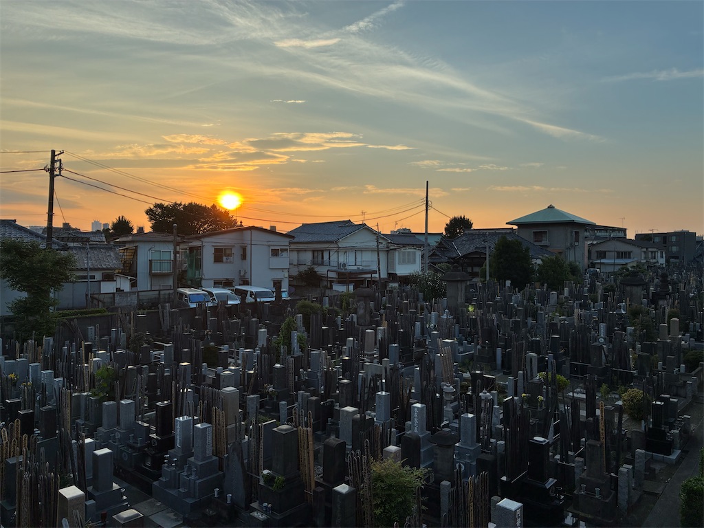 f:id:TokuheiKumagai:20260714193750j:image f:id:TokuheiKumagai:20260714193750j:image