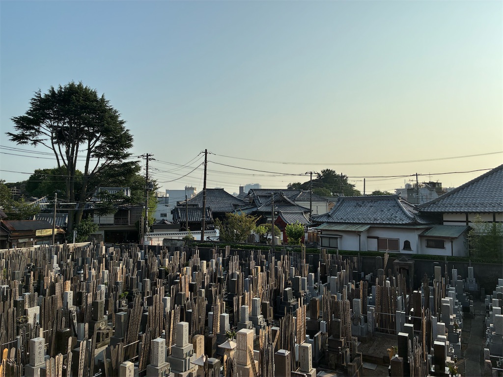 f:id:TokuheiKumagai:20260722185708j:image