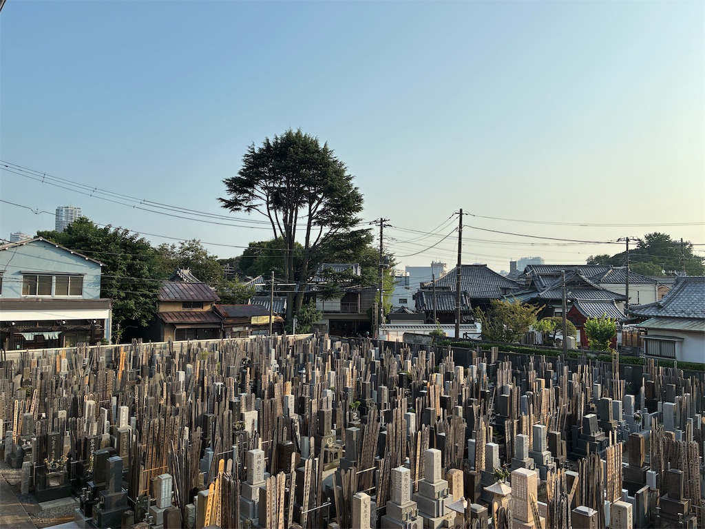 f:id:TokuheiKumagai:20260722185718j:image