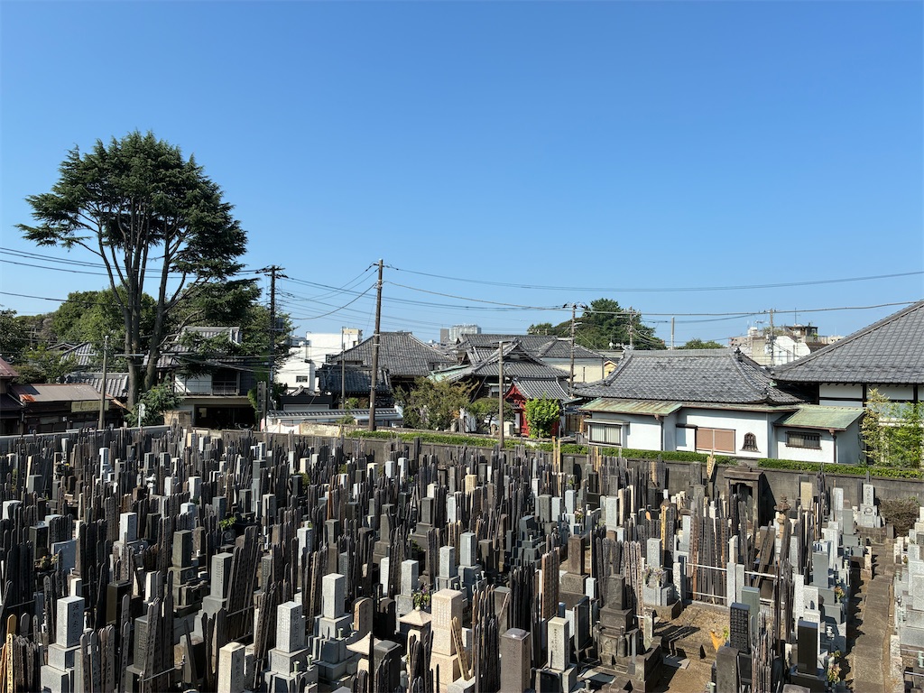 f:id:TokuheiKumagai:20260723115408j:image