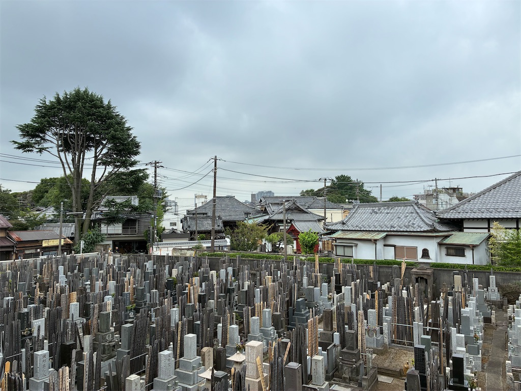 f:id:TokuheiKumagai:20260724093304j:image f:id:TokuheiKumagai:20260724093304j:image