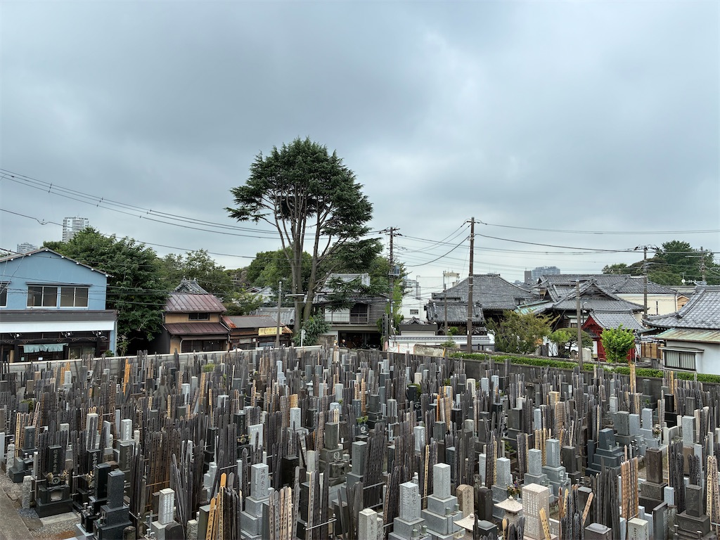 f:id:TokuheiKumagai:20260724093309j:image f:id:TokuheiKumagai:20260724093309j:image