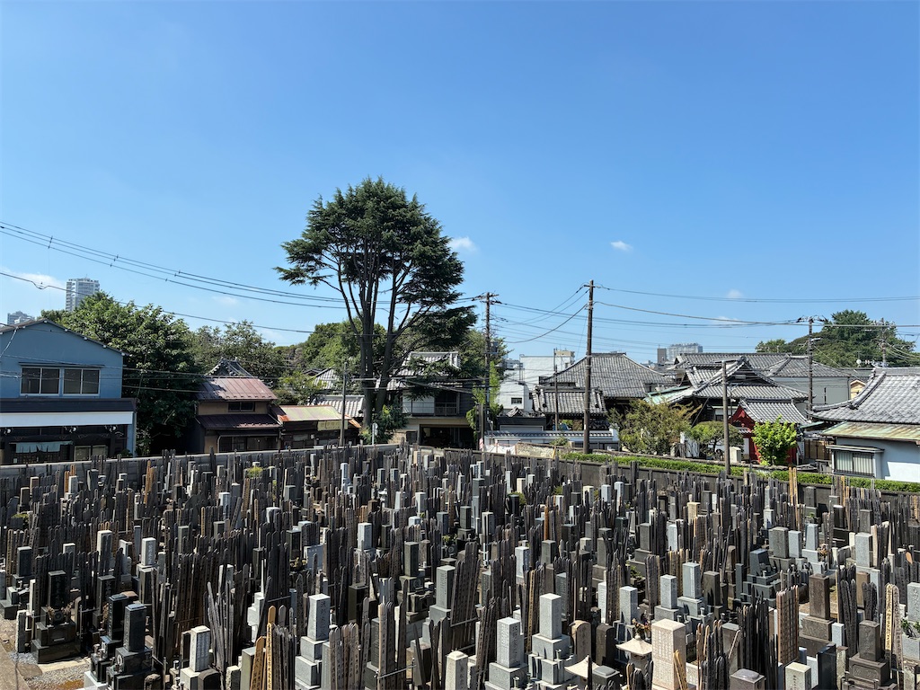 f:id:TokuheiKumagai:20260725143017j:image