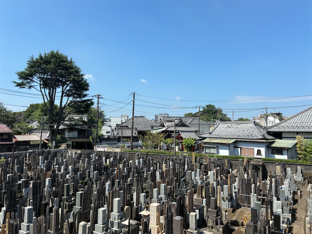 f:id:TokuheiKumagai:20260725143029j:image