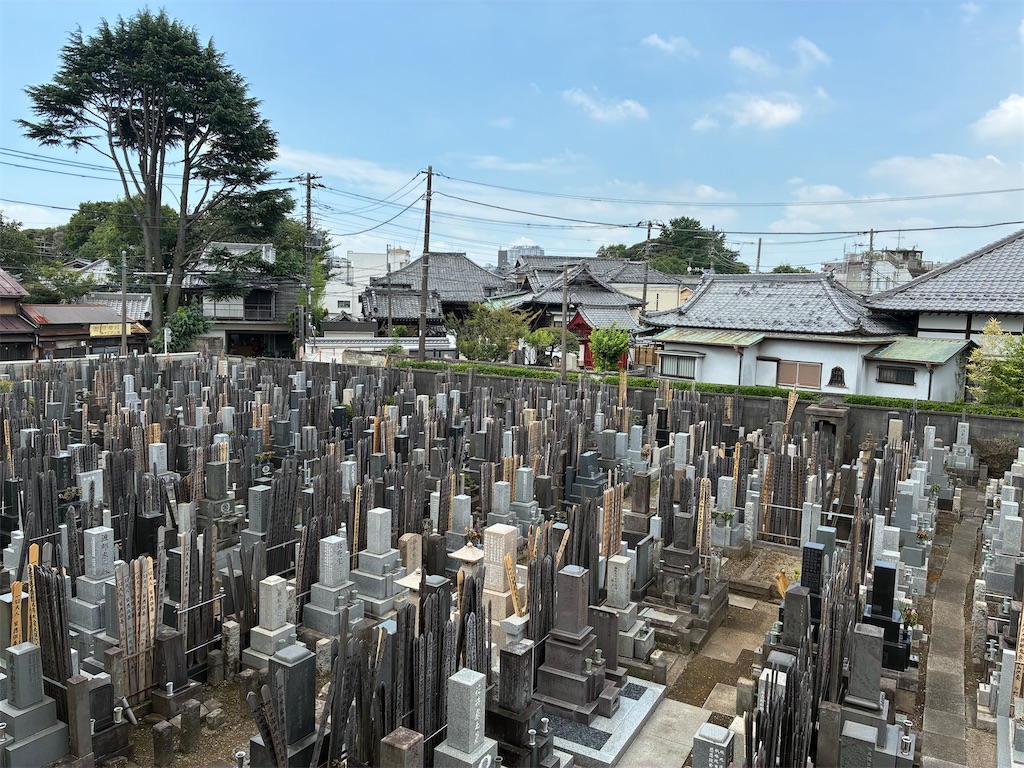 f:id:TokuheiKumagai:20260726135647j:image f:id:TokuheiKumagai:20260726135647j:image
