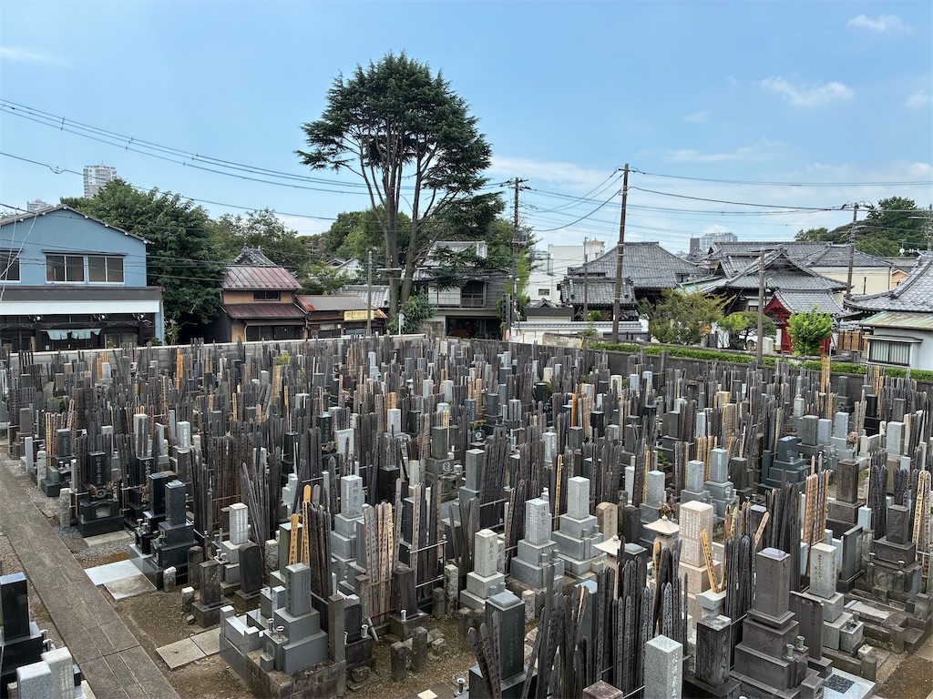 f:id:TokuheiKumagai:20260726135654j:image f:id:TokuheiKumagai:20260726135654j:image