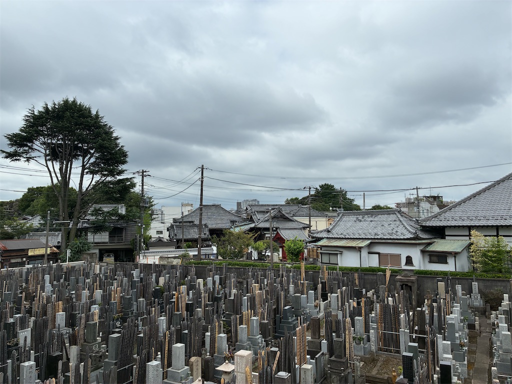 f:id:TokuheiKumagai:20260727101409j:image f:id:TokuheiKumagai:20260727101409j:image