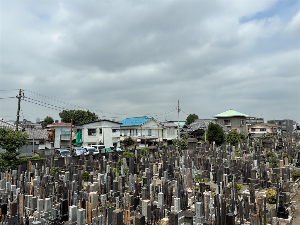 f:id:TokuheiKumagai:20260728143249j:image f:id:TokuheiKumagai:20260728143249j:image