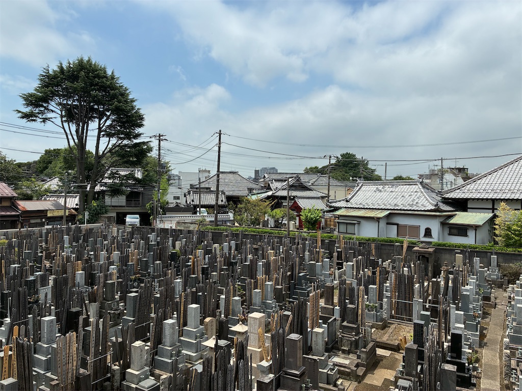 f:id:TokuheiKumagai:20260728143252j:image f:id:TokuheiKumagai:20260728143252j:image