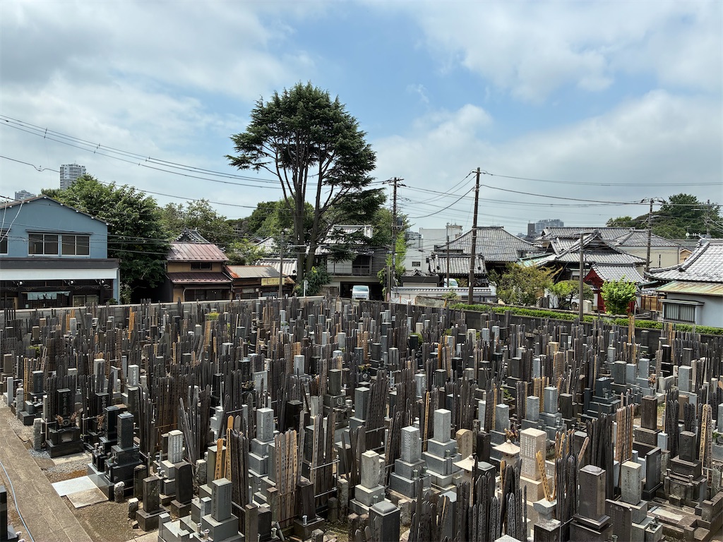 f:id:TokuheiKumagai:20260728143302j:image f:id:TokuheiKumagai:20260728143302j:image