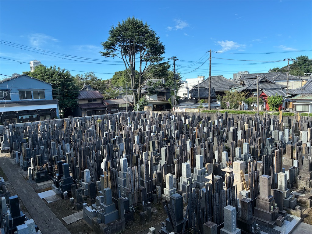 f:id:TokuheiKumagai:20260729094538j:image