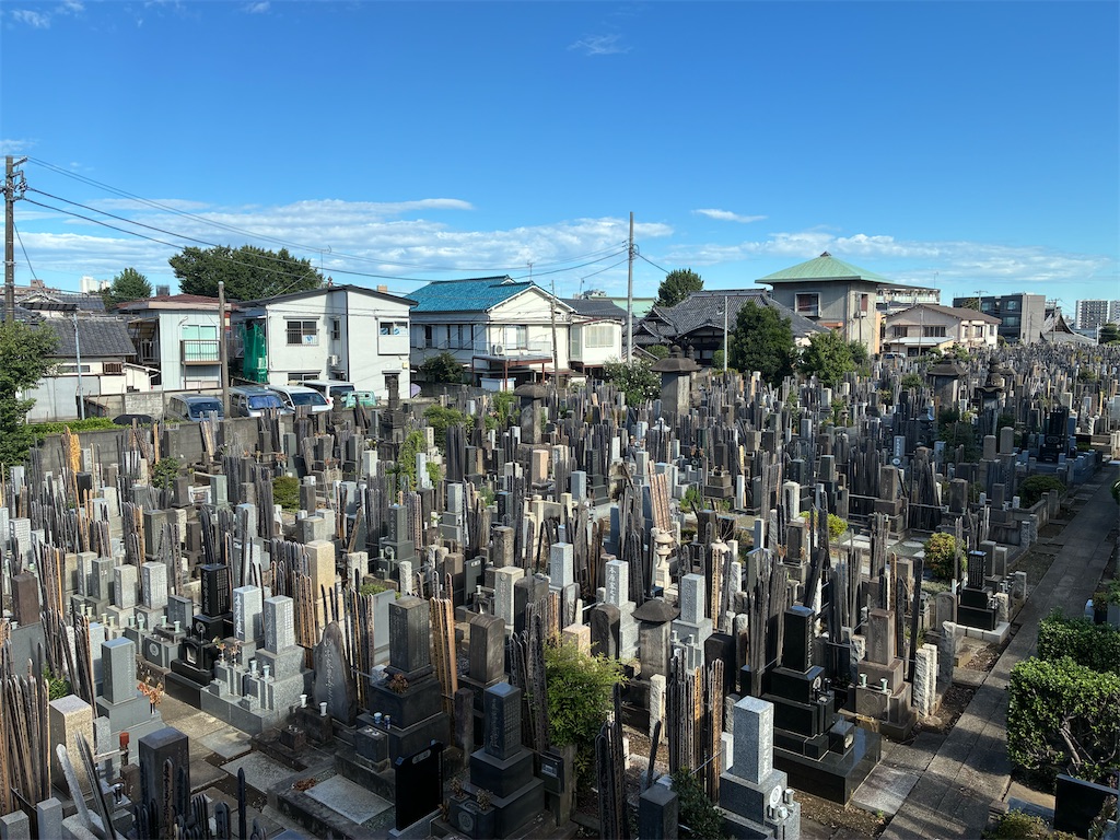 f:id:TokuheiKumagai:20260729094546j:image