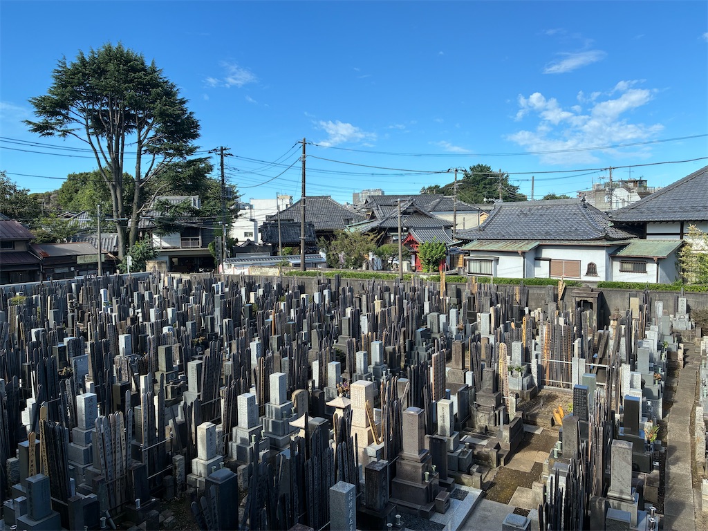 f:id:TokuheiKumagai:20260729094549j:image