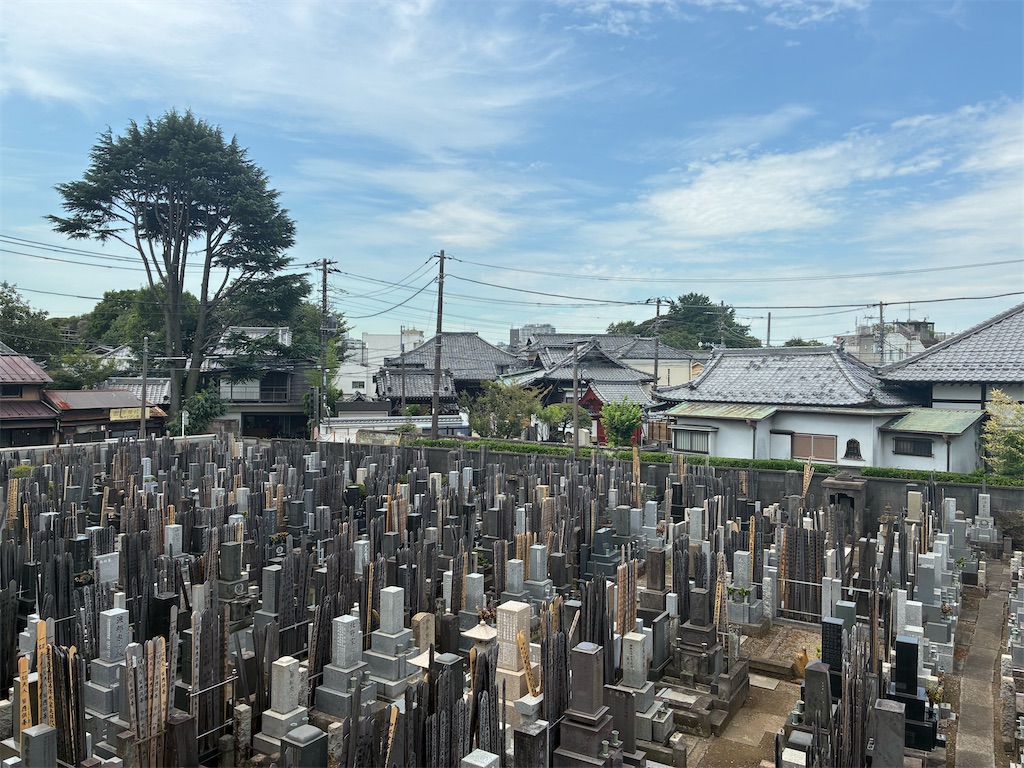 f:id:TokuheiKumagai:20260730235726j:image f:id:TokuheiKumagai:20260730235726j:image