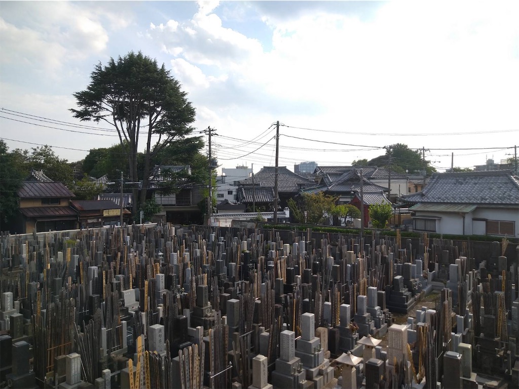 f:id:TokuheiKumagai:20260801170028j:image