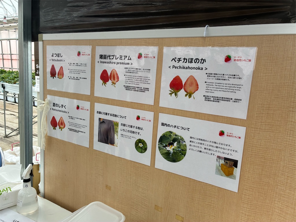 f:id:TokuheiKumagai:20260802131227j:image