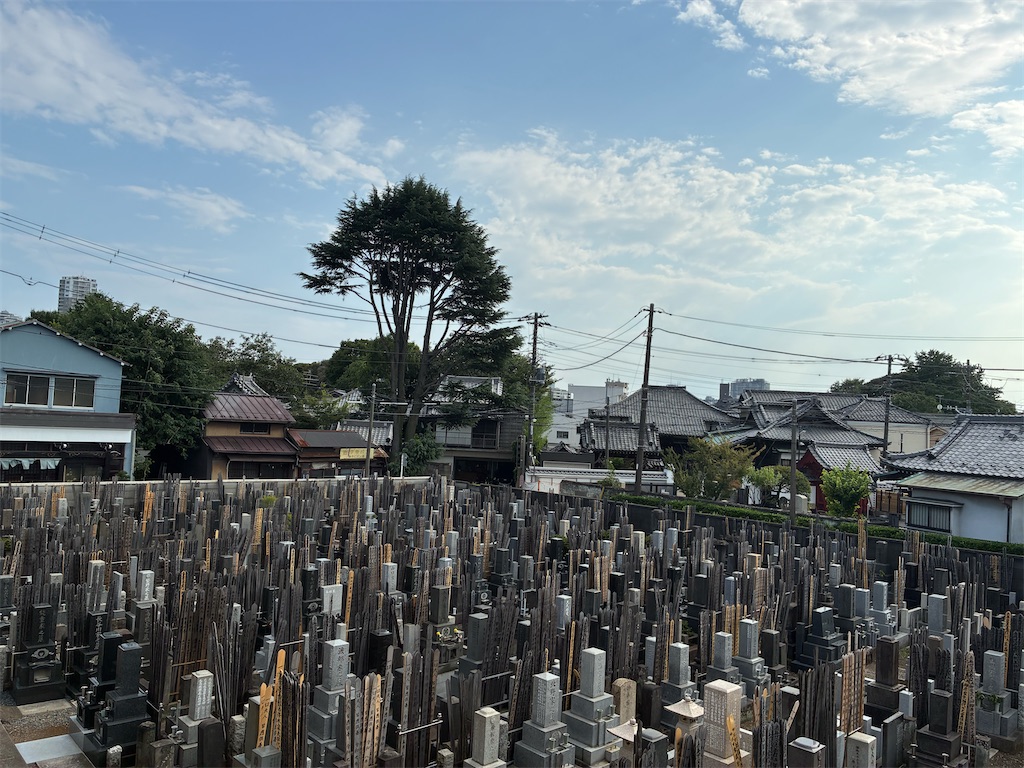 f:id:TokuheiKumagai:20260802194540j:image