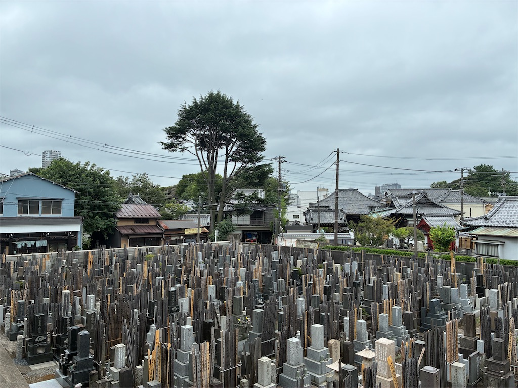 f:id:TokuheiKumagai:20260803221216j:image