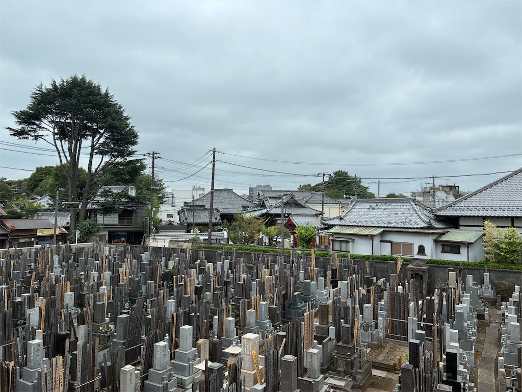 f:id:TokuheiKumagai:20260803221220j:image
