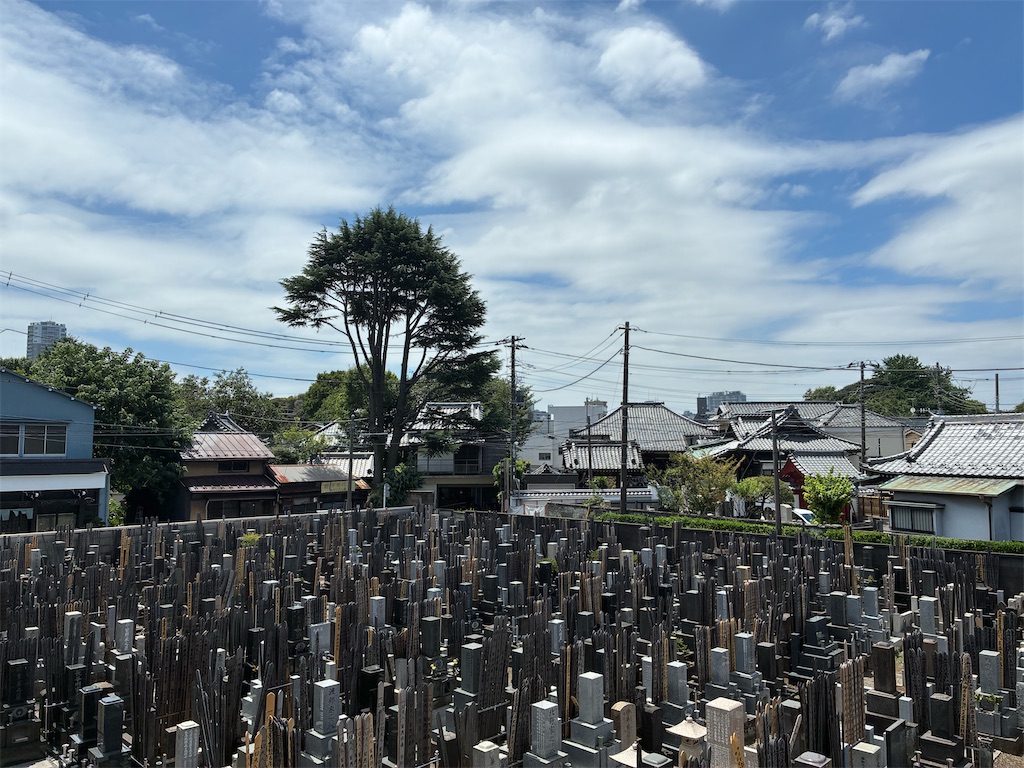 f:id:TokuheiKumagai:20260805145040j:image