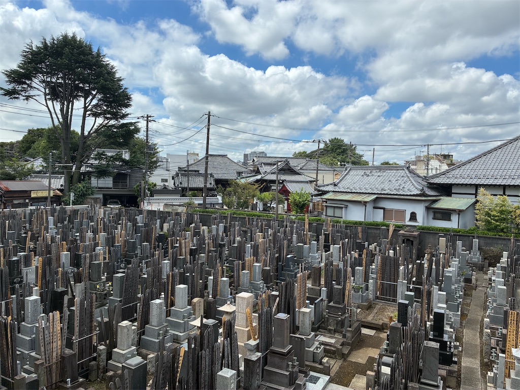 f:id:TokuheiKumagai:20260806113340j:image f:id:TokuheiKumagai:20260806113340j:image