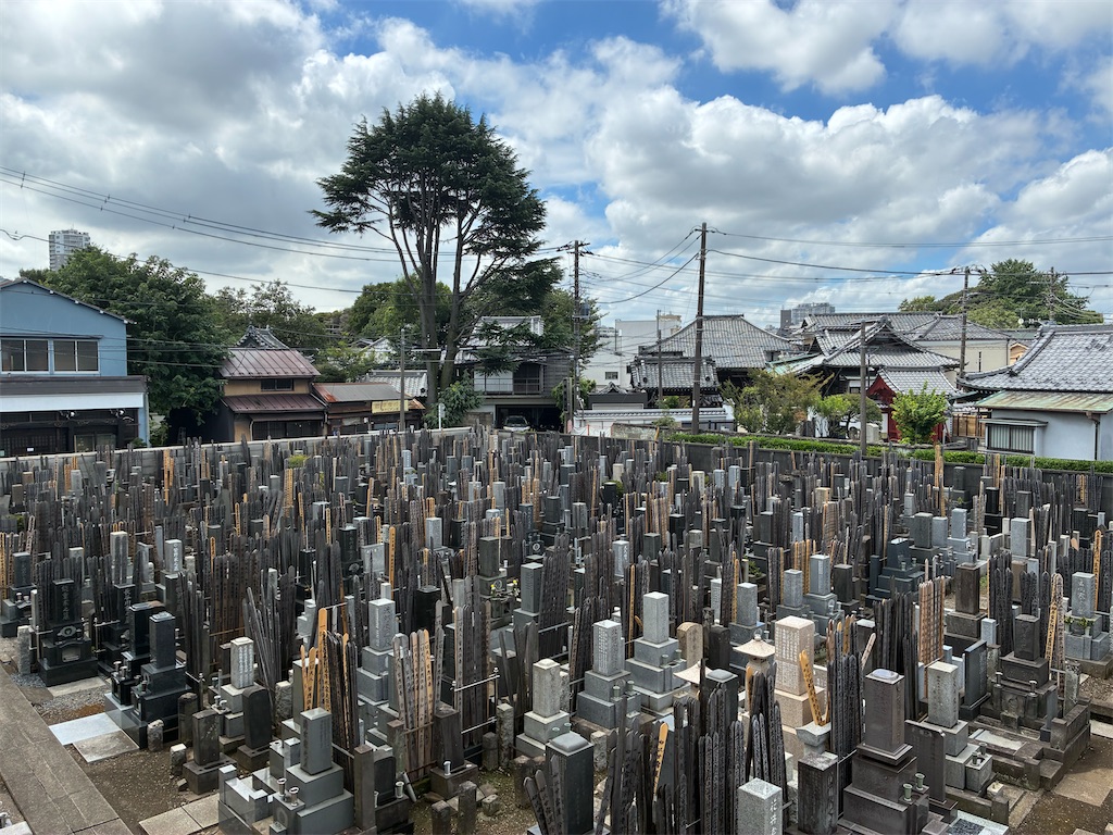 f:id:TokuheiKumagai:20260806113347j:image f:id:TokuheiKumagai:20260806113347j:image