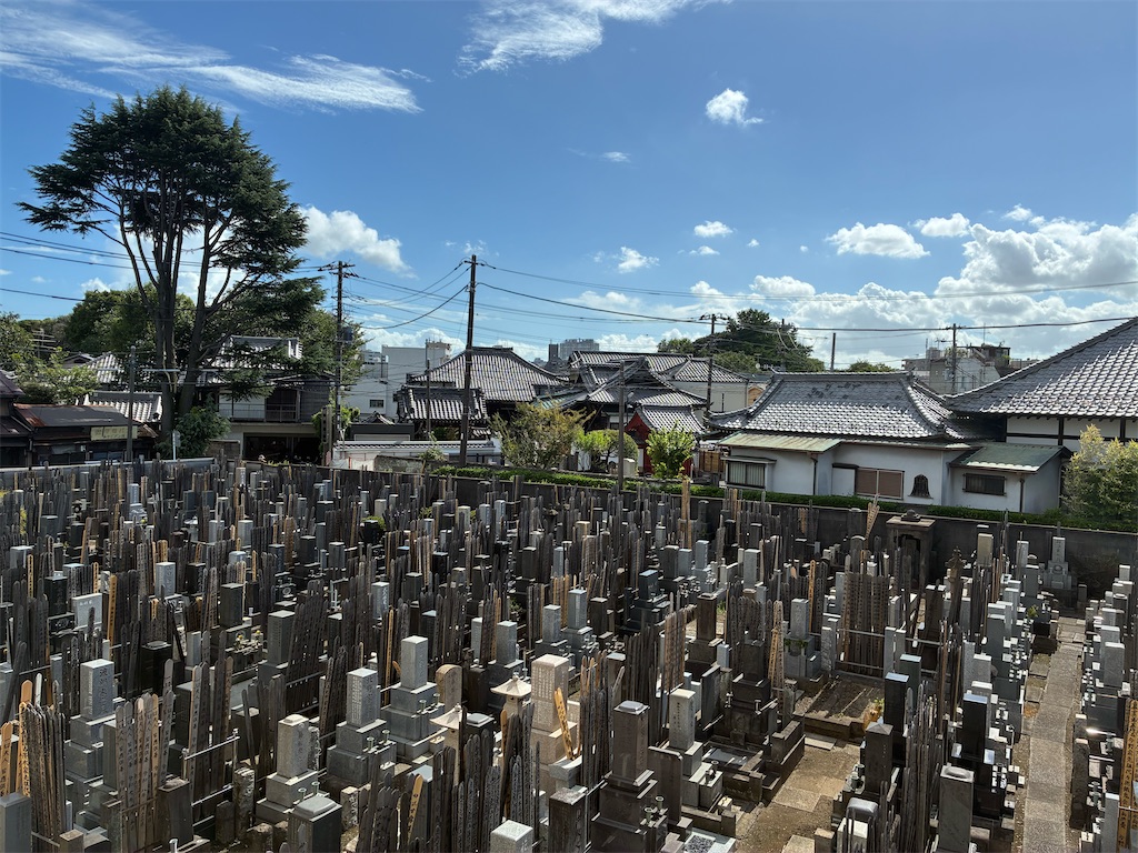 f:id:TokuheiKumagai:20260807163613j:image