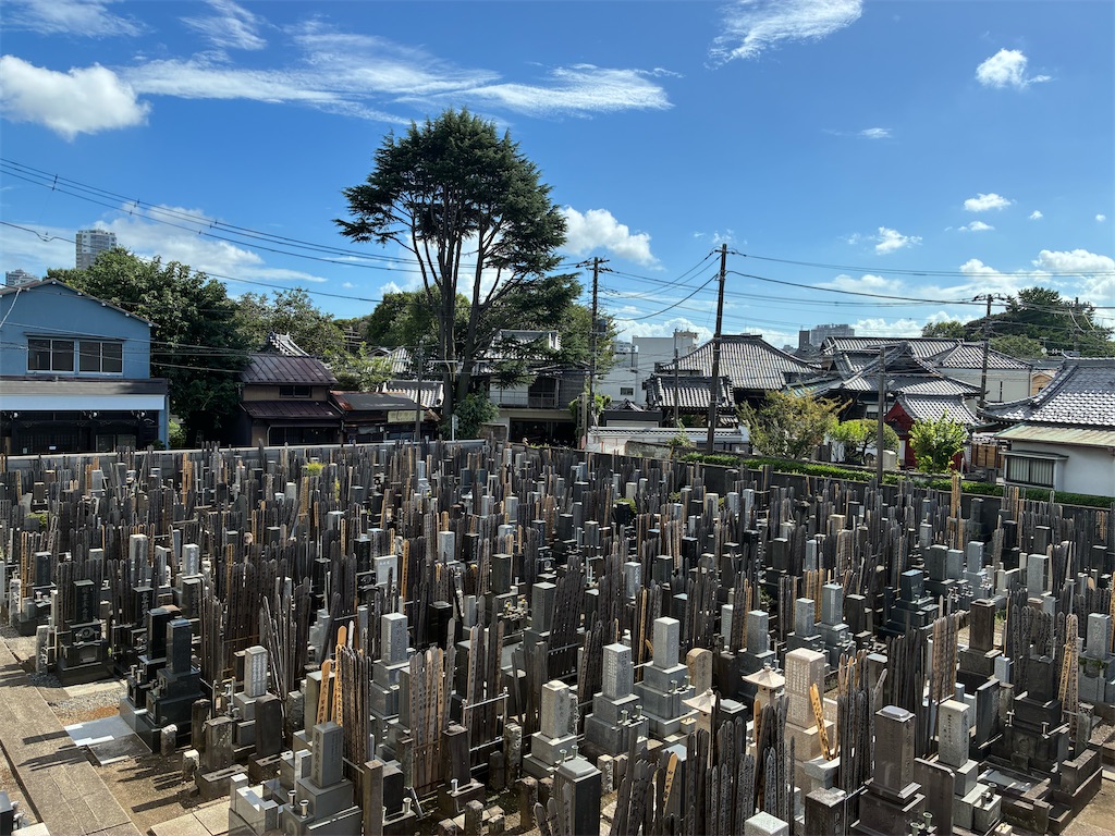 f:id:TokuheiKumagai:20260807163619j:image