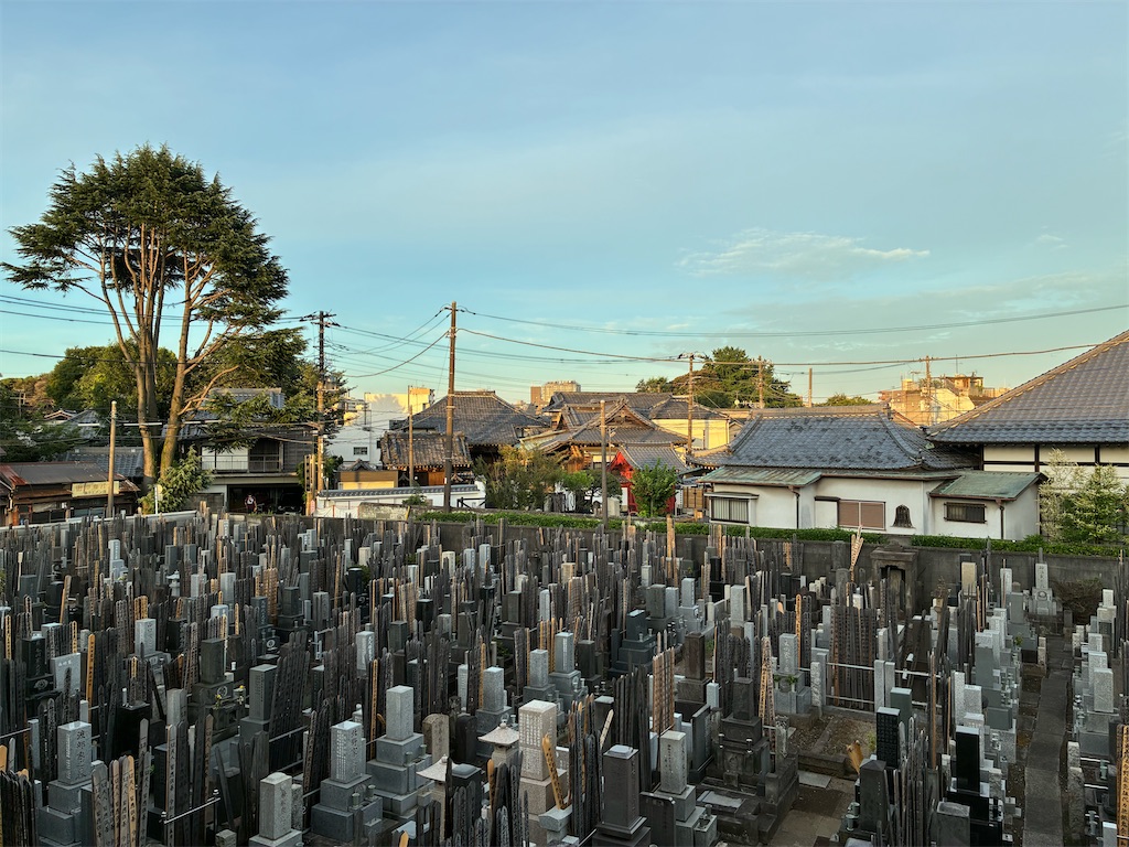 f:id:TokuheiKumagai:20260809102551j:image f:id:TokuheiKumagai:20260809102551j:image