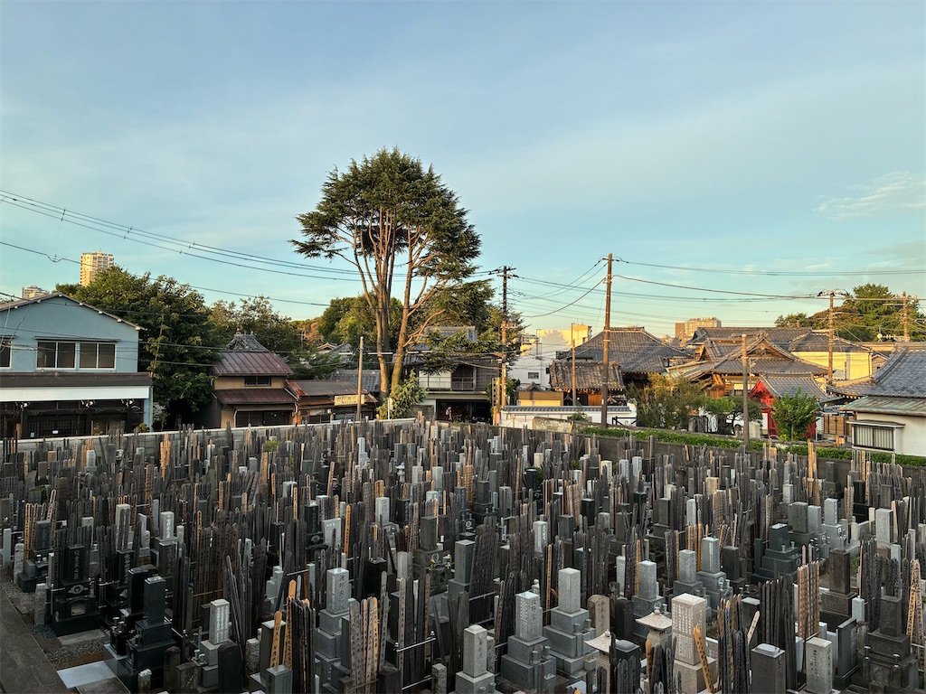 f:id:TokuheiKumagai:20260809102556j:image f:id:TokuheiKumagai:20260809102556j:image