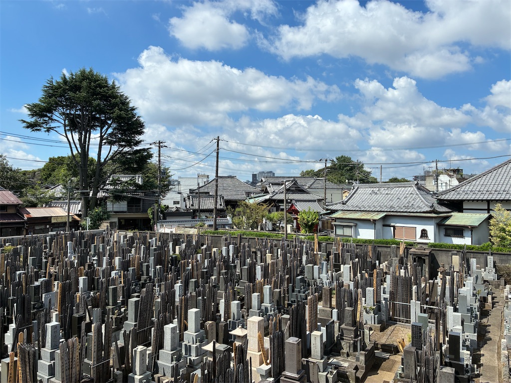 f:id:TokuheiKumagai:20260810210840j:image