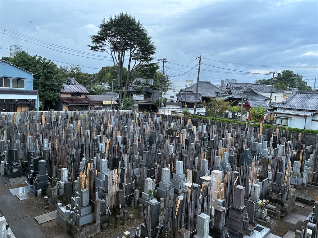 f:id:TokuheiKumagai:20260812181850j:image f:id:TokuheiKumagai:20260812181850j:image