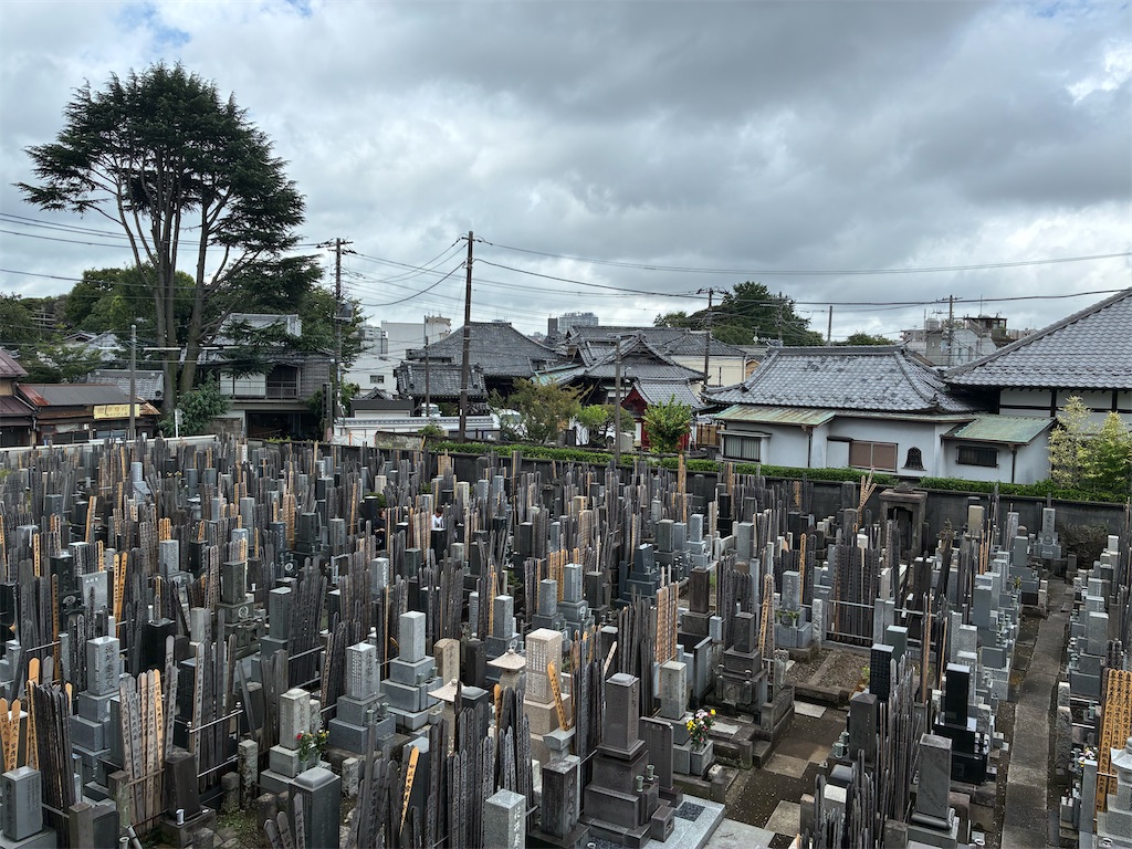 f:id:TokuheiKumagai:20260813111346j:image