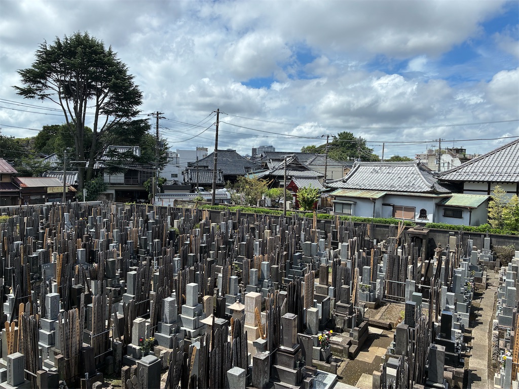 f:id:TokuheiKumagai:20260814182558j:image f:id:TokuheiKumagai:20260814182558j:image