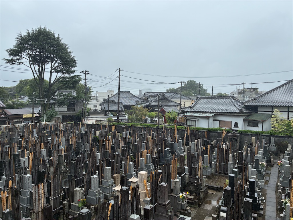 f:id:TokuheiKumagai:20260816170109j:image f:id:TokuheiKumagai:20260816170109j:image