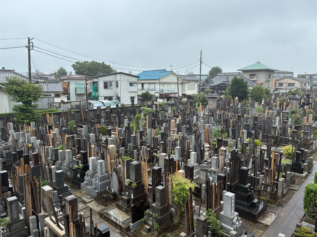 f:id:TokuheiKumagai:20260816170121j:image f:id:TokuheiKumagai:20260816170121j:image