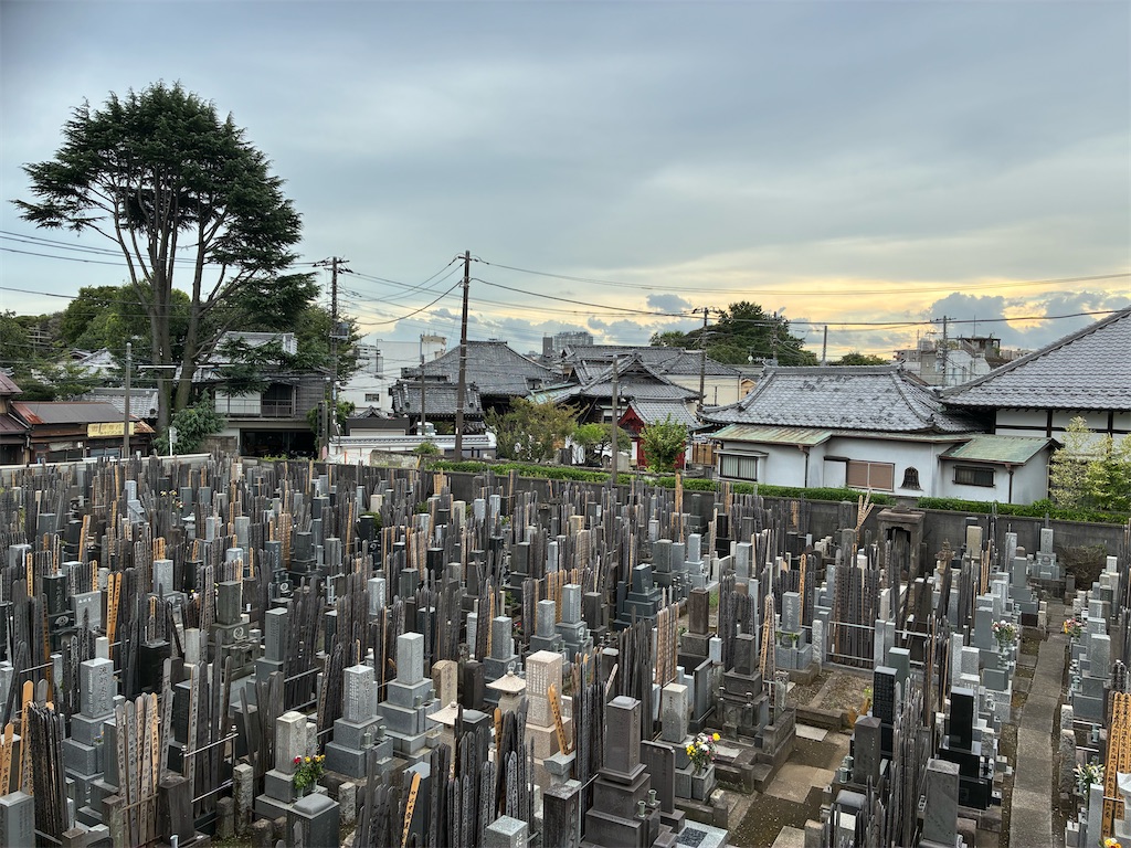 f:id:TokuheiKumagai:20260817171048j:image