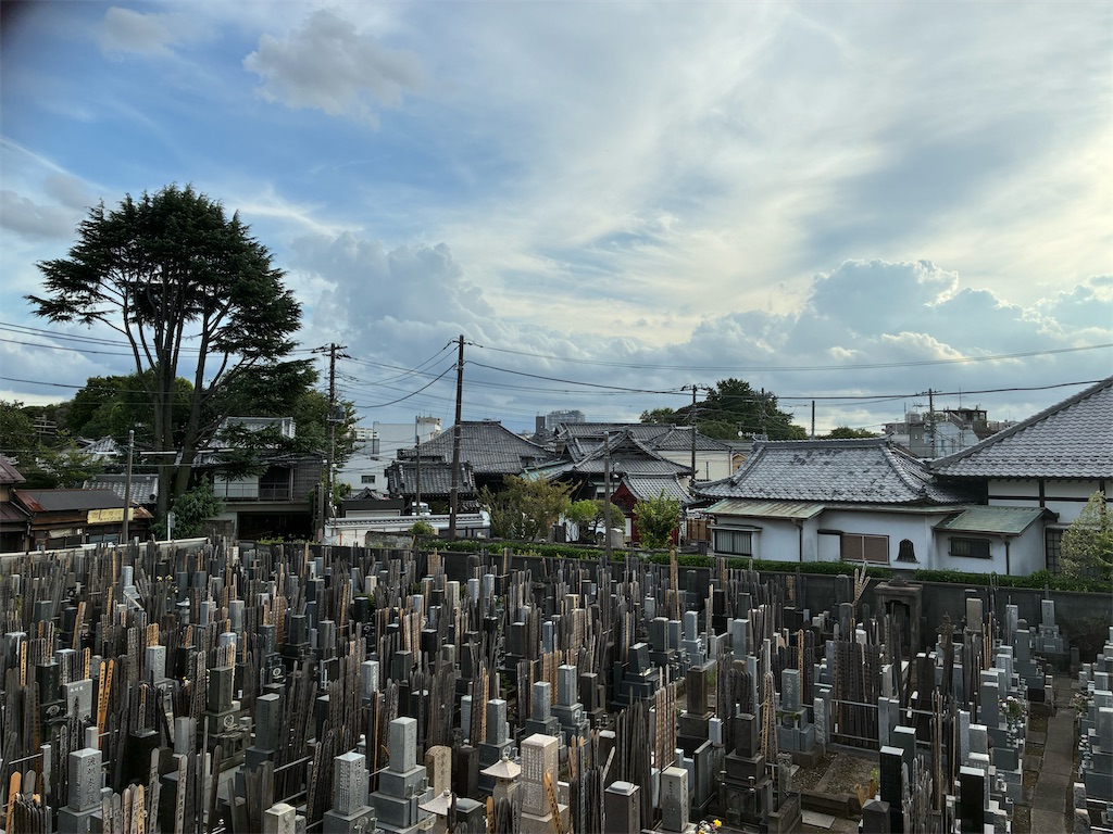 f:id:TokuheiKumagai:20260818170938j:image