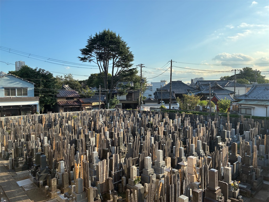f:id:TokuheiKumagai:20260819171812j:image