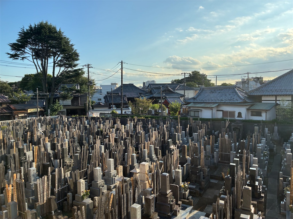 f:id:TokuheiKumagai:20260819171829j:image