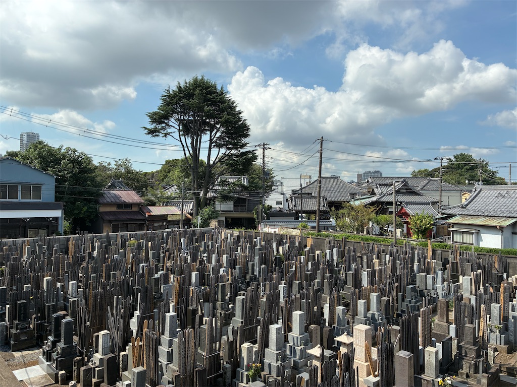 f:id:TokuheiKumagai:20260820093413j:image