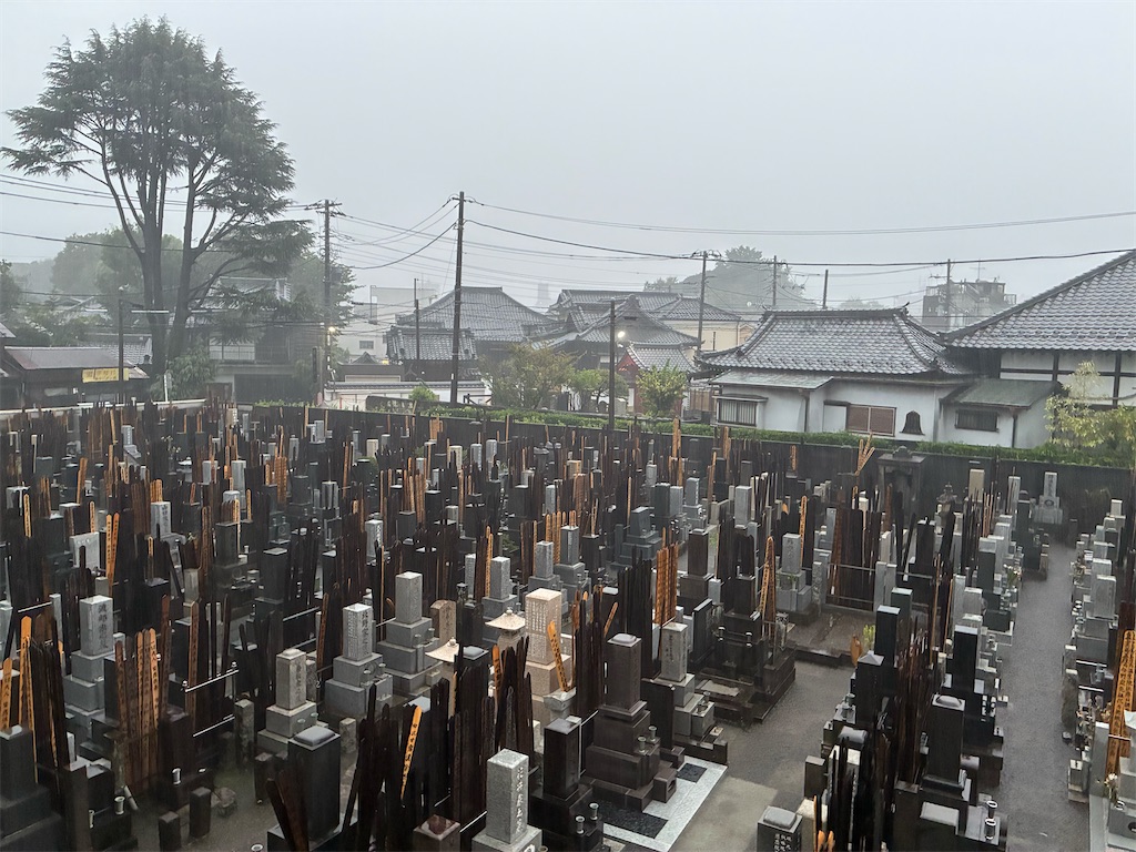 f:id:TokuheiKumagai:20260823155138j:image