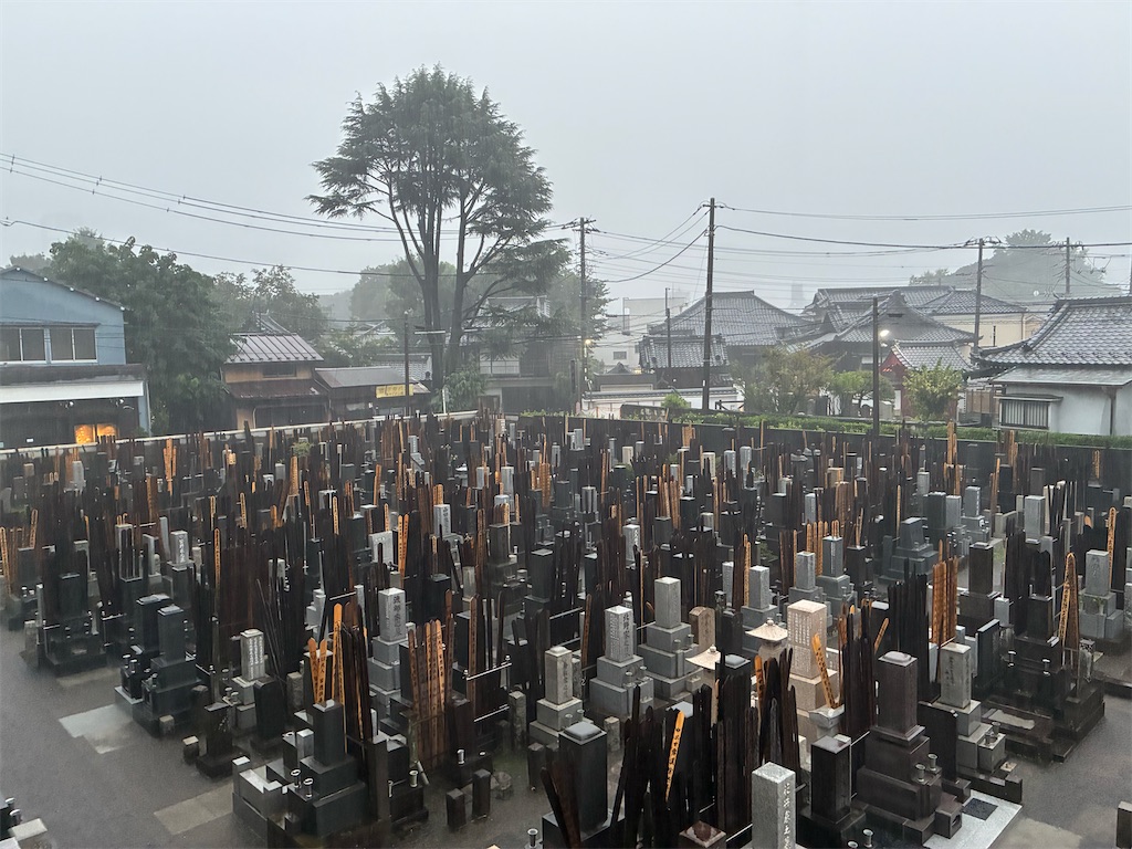 f:id:TokuheiKumagai:20260823155142j:image