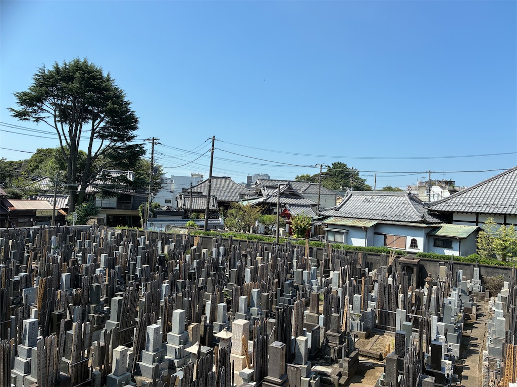 f:id:TokuheiKumagai:20260825214703j:image
