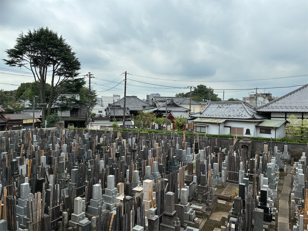 f:id:TokuheiKumagai:20260827123517j:image f:id:TokuheiKumagai:20260827123517j:image
