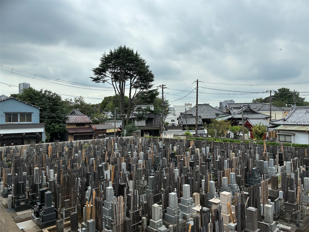 f:id:TokuheiKumagai:20260827123528j:image f:id:TokuheiKumagai:20260827123528j:image