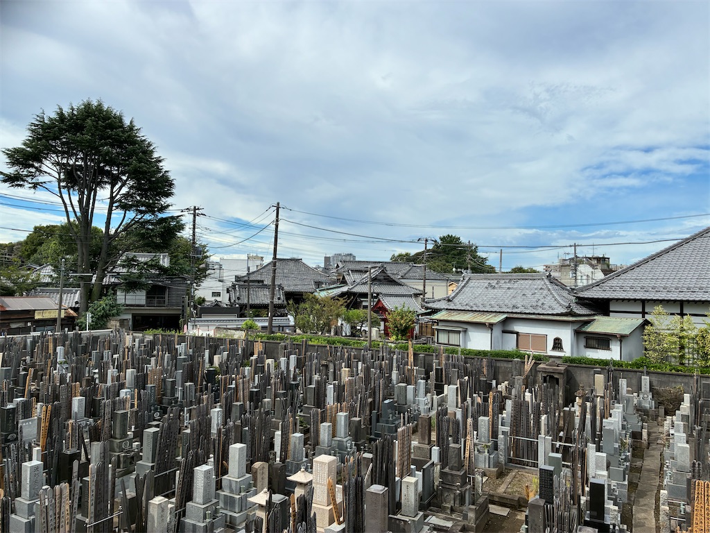 f:id:TokuheiKumagai:20260828111309j:image