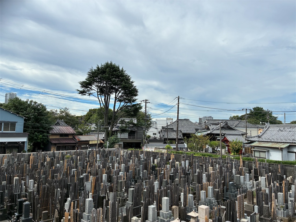 f:id:TokuheiKumagai:20260828111313j:image