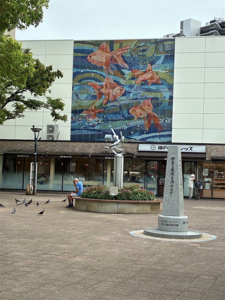 f:id:TokuheiKumagai:20260828200649j:image