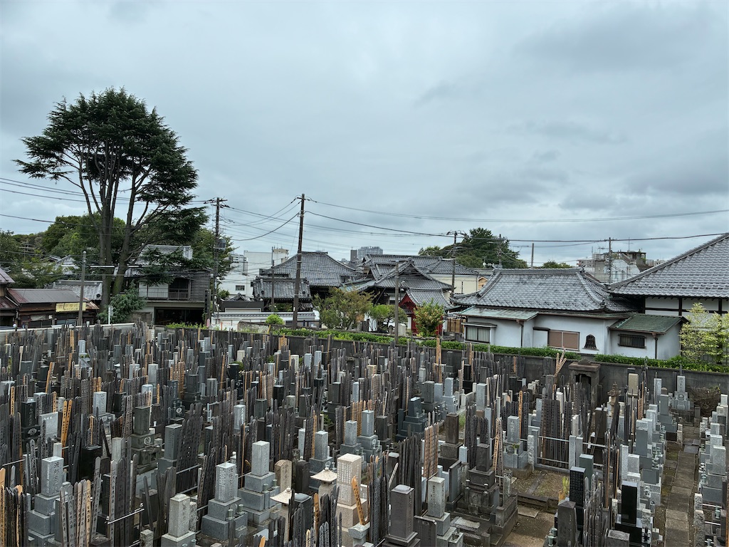 f:id:TokuheiKumagai:20260829175823j:image